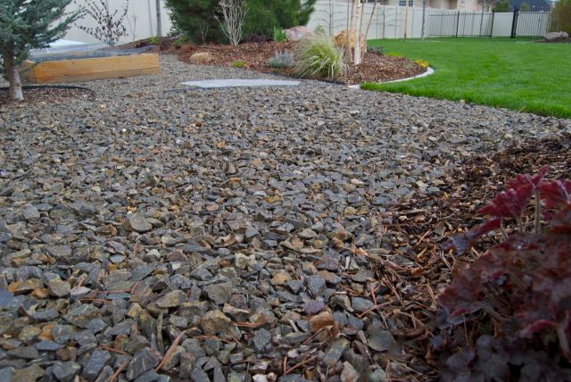 Briar Rock Garden - 147