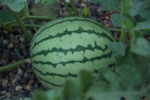 untitled event - 116