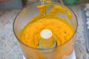 2915062518_5bae6aec08_o