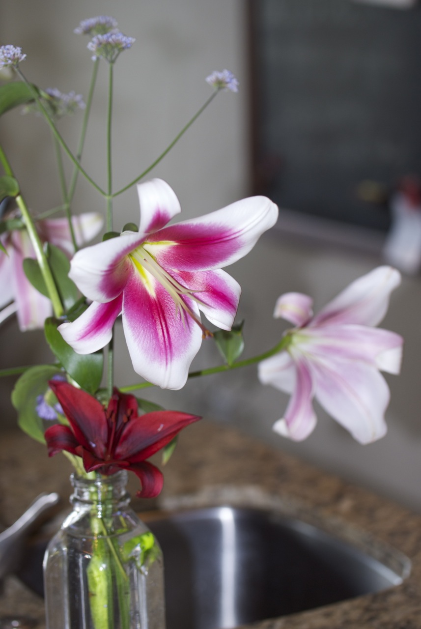 At My Kitchen Sink Orienpet Lily ‘Silk Road’ igardendaily