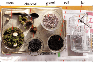 Photo courtesy of Analog Me